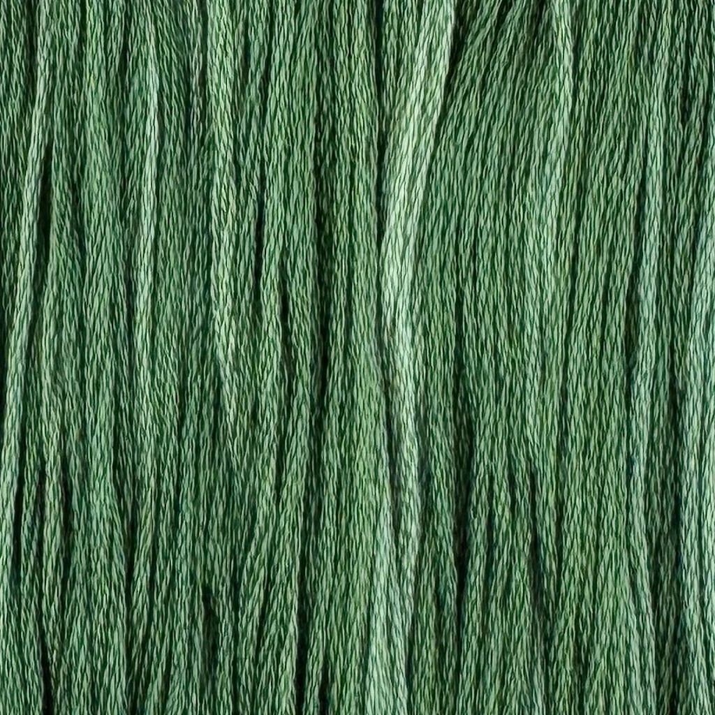 Tapestry - Colour and Cotton 6 Strand Floss - CAC-776