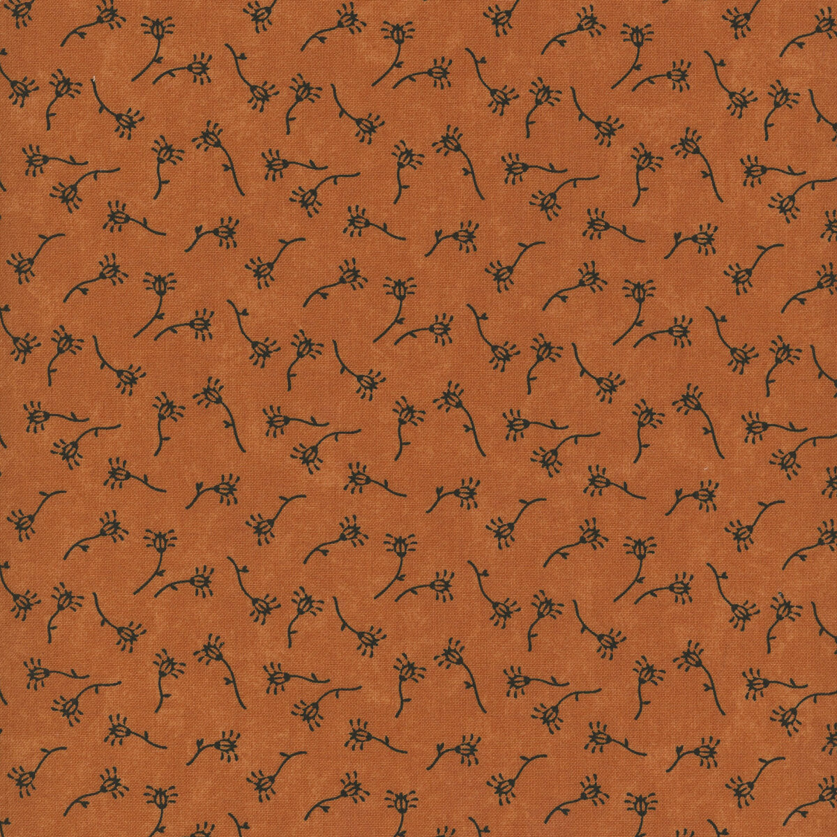 Daisy Lane Tiger Lily | 9765 17