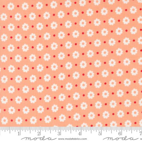 Laguna Sunrise Cantaloupe | 37683 13