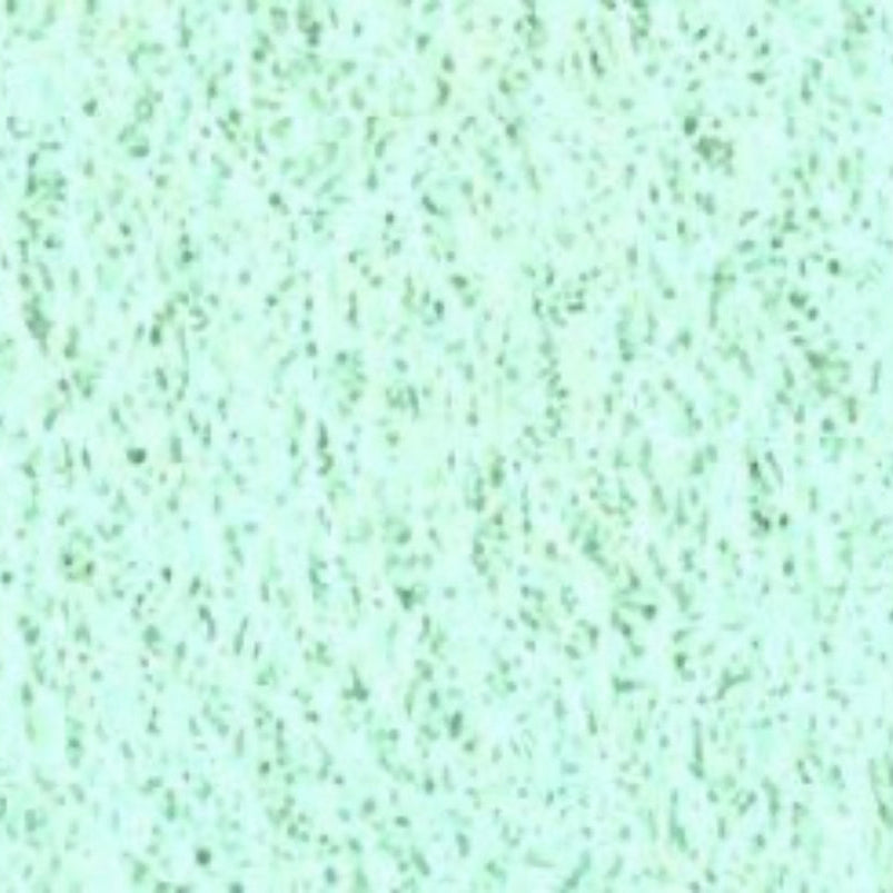 WoolFelt Groovy Green