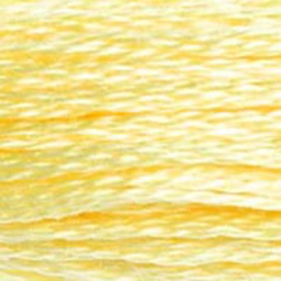 DMC-727 Very Light Topaz  6 Strand Floss