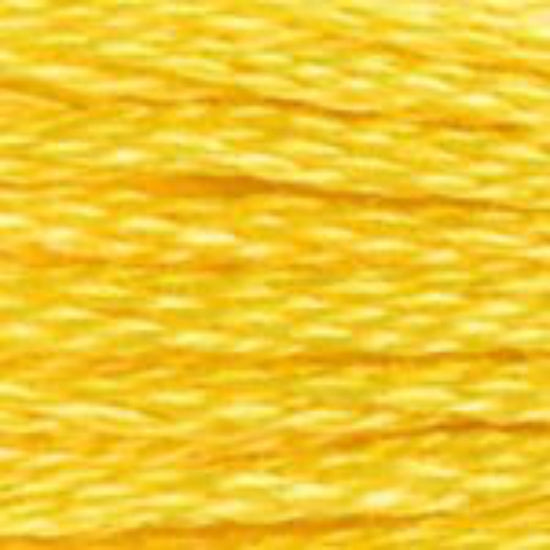 DMC-973 Bright Canary  6 Strand Floss