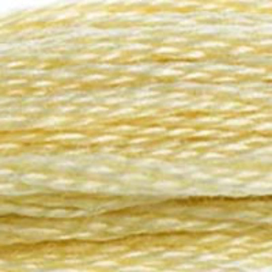 DMC-677 Very Light Old Gold  6 Strand Floss