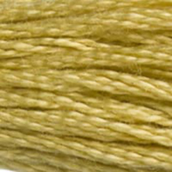 DMC-834 Very Light Golden Olive  6 Strand Floss