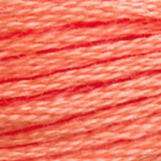 DMC-3340 Medium Apricot  6 Strand Floss