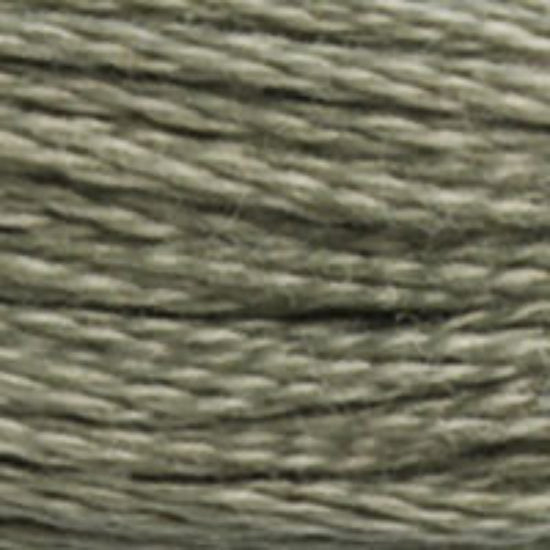 DMC-3022 Medium Brown Gray  6 Strand Floss
