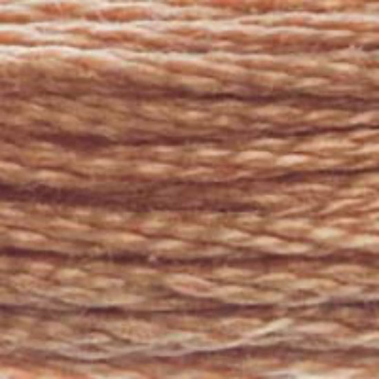DMC-407 Dark Desert Sand  6 Strand Floss