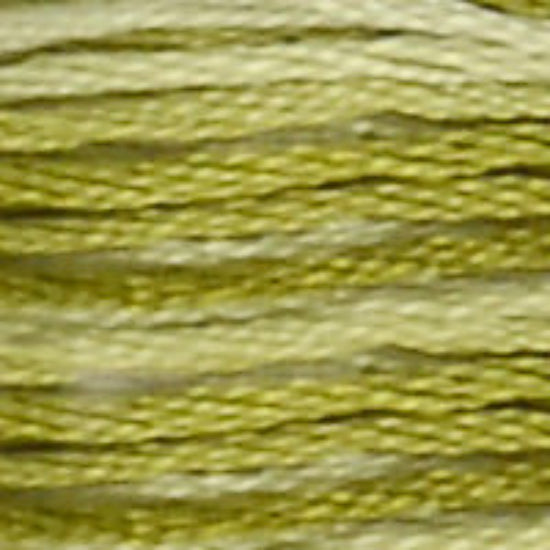 DMC-94 Variegated Khaki Green 6 Strand Floss