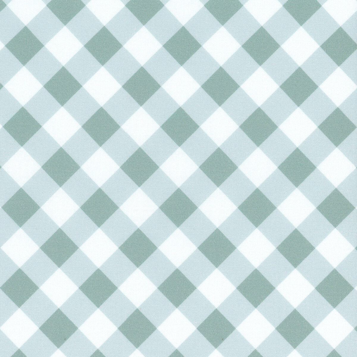 Nature Sings | NS24119 | Dorothy Check - Blue