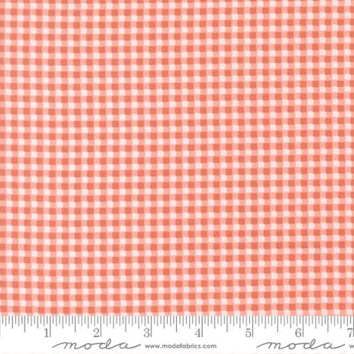 Sunbonnet Coral | 31769 32