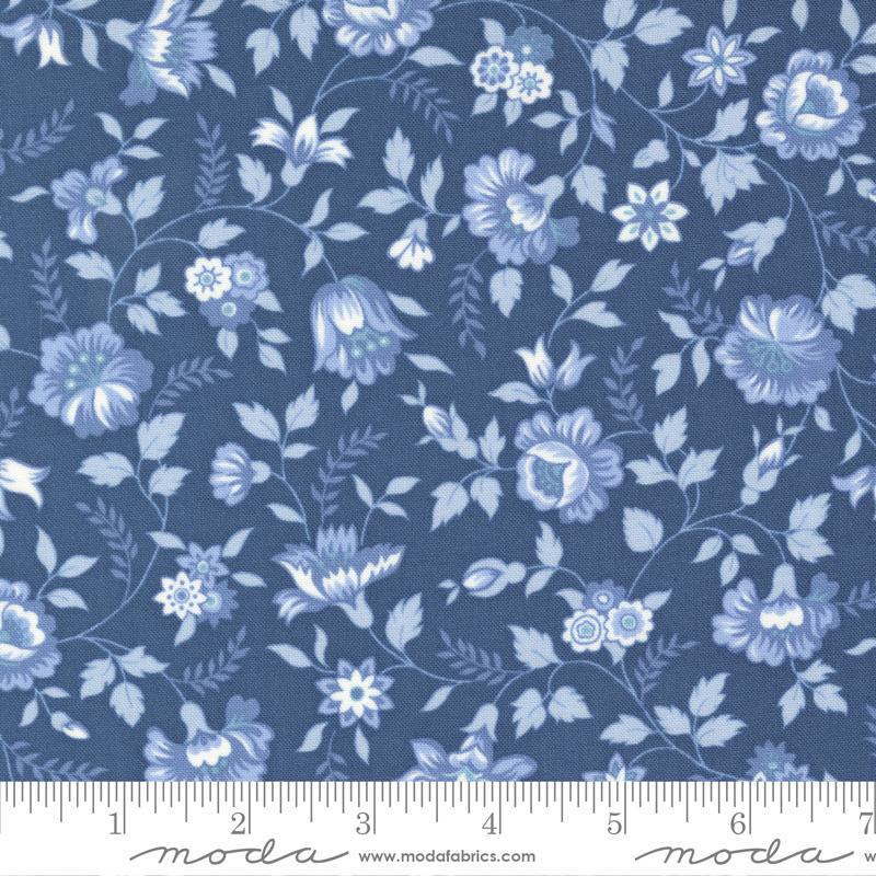 Blueberry Delight Blueberry | 3031 16