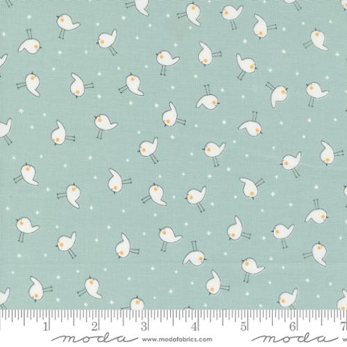 Shine Sky | 55674 22