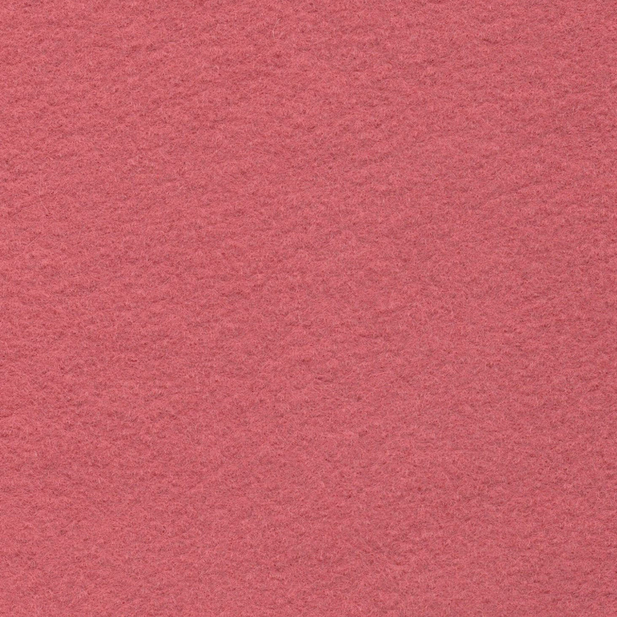WoolFelt English Rose