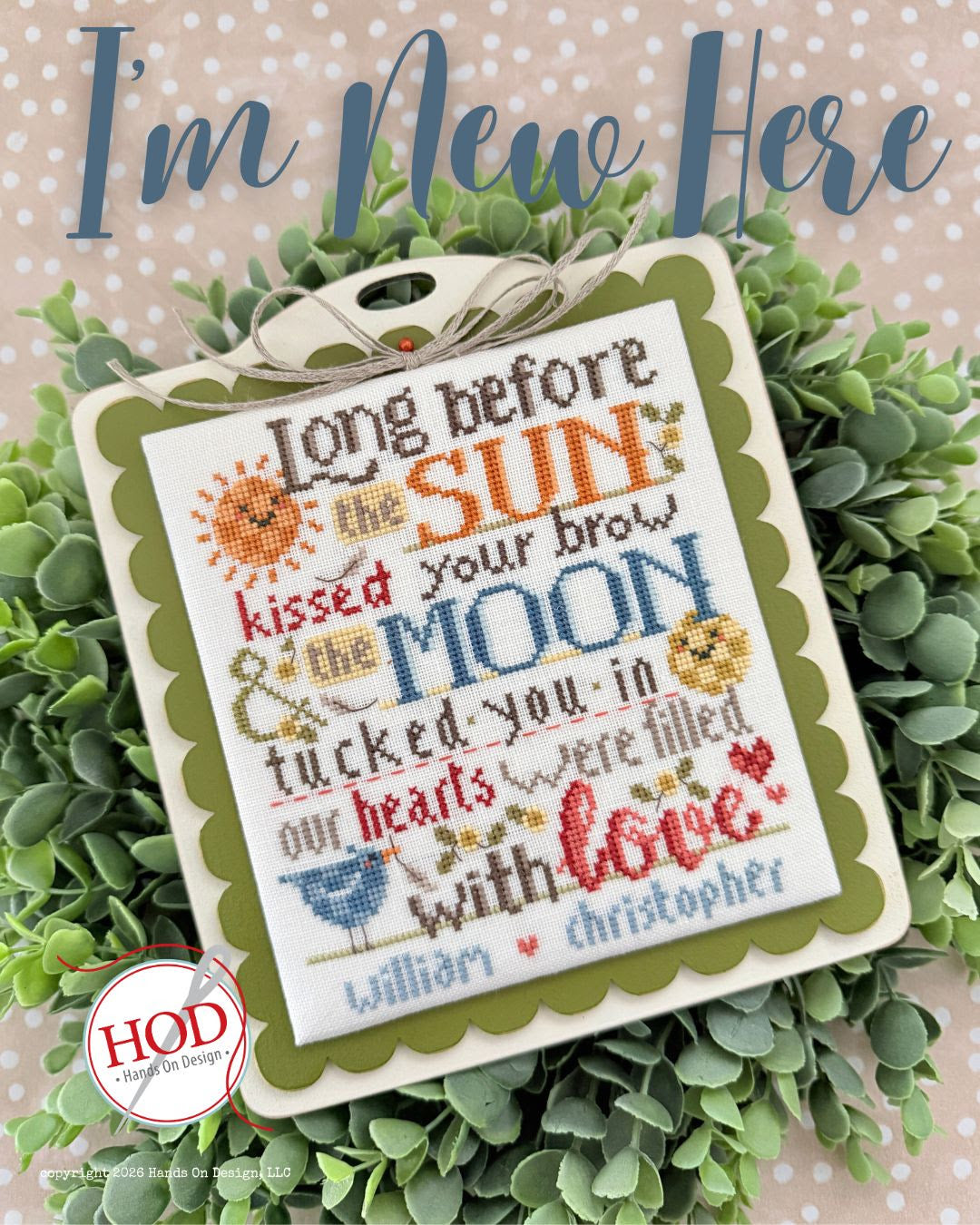 I'm New Here Cross Stitch by Hands on Design - Paper Pattern