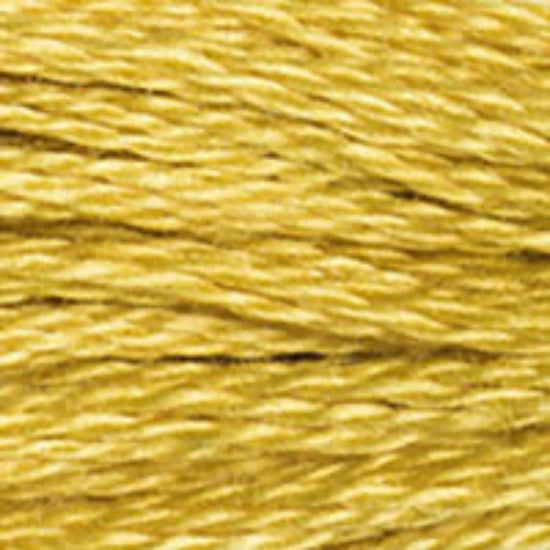 DMC-3820 Dark Straw  6 Strand Floss