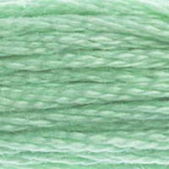 DMC-564 Very Light Jade  6 Strand Floss