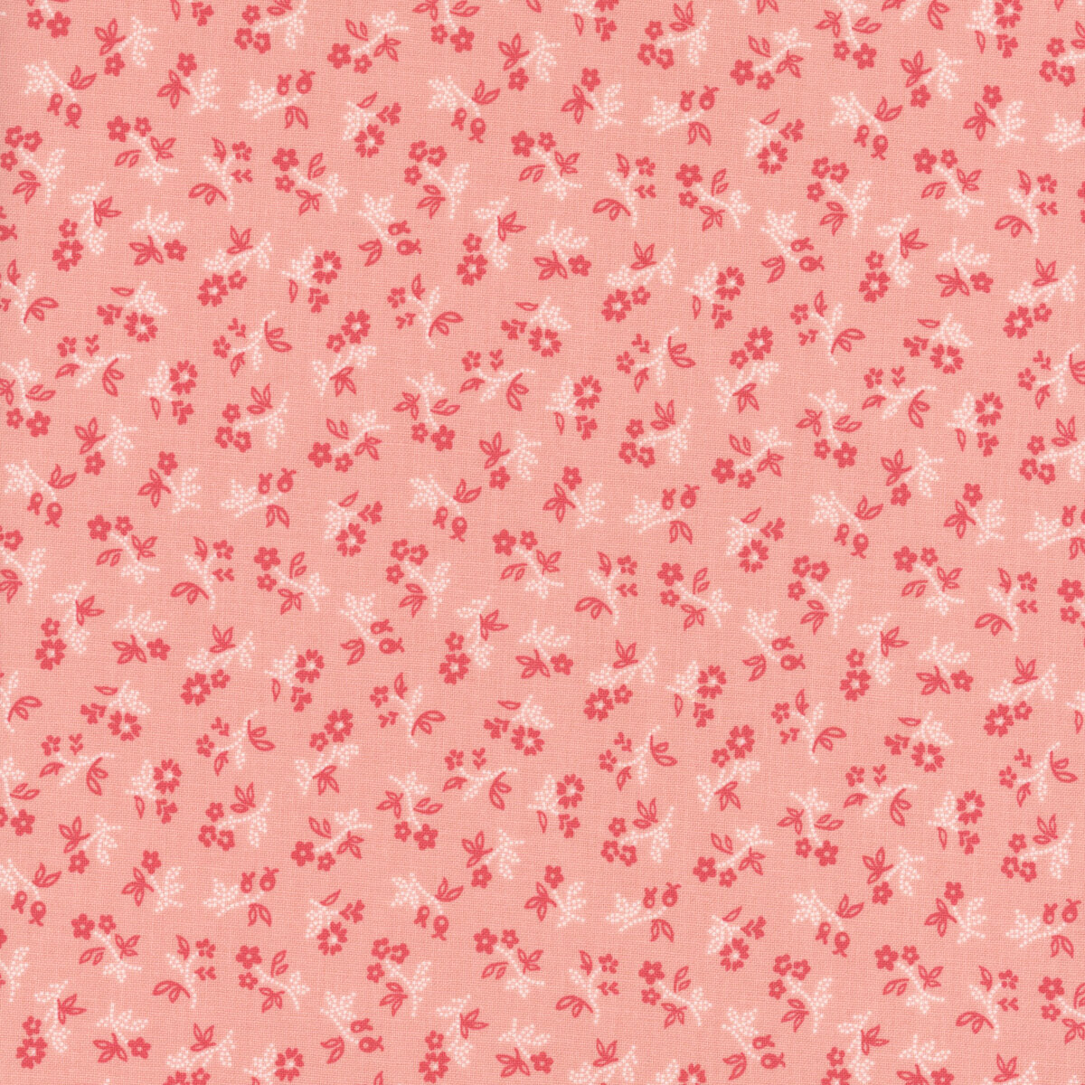 Farmer's Daughter | C17170 | Coral