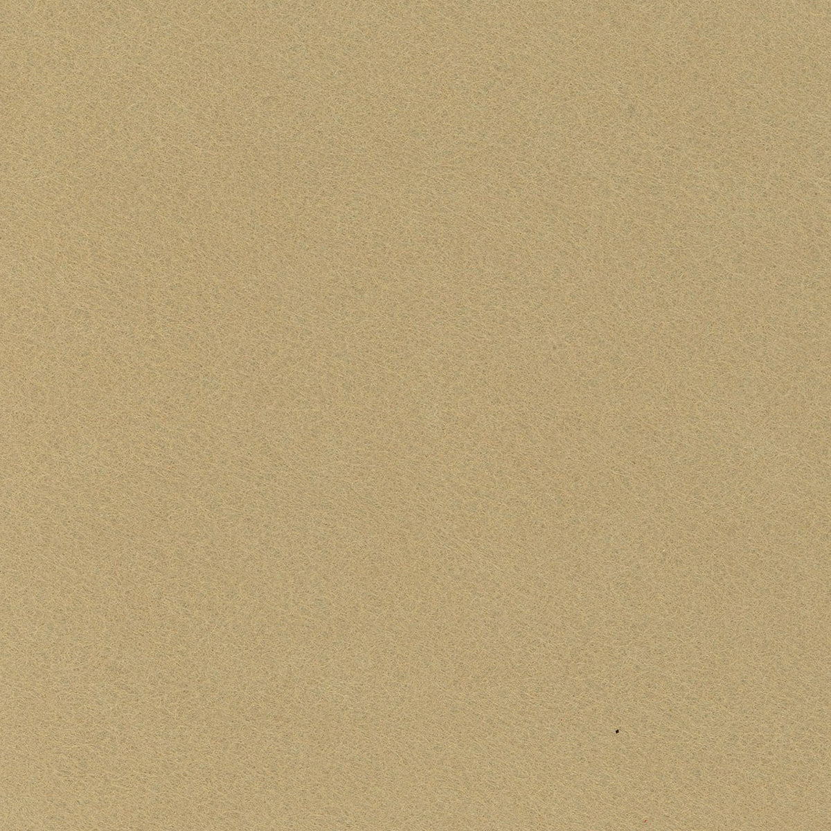 WoolFelt Champagne