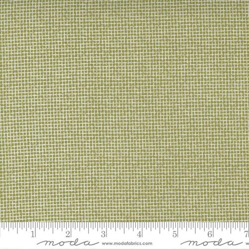 Renew Green | 55565 13