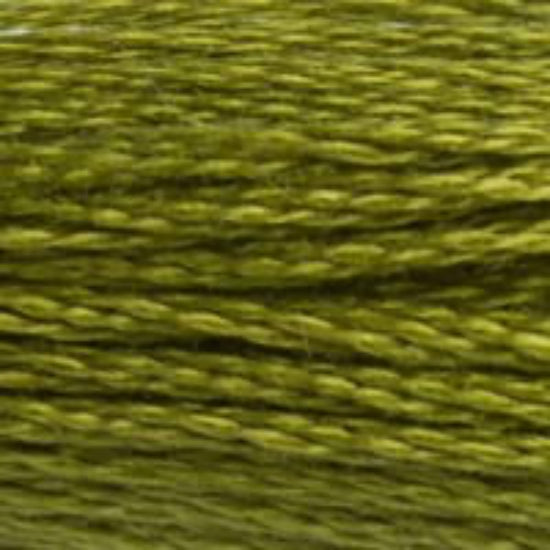 DMC-580 Dark Moss Green  6 Strand Floss