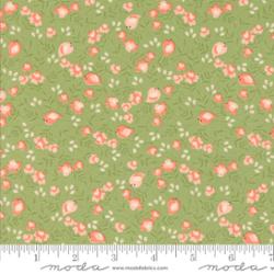 Abloom Cucumber | 29212 17