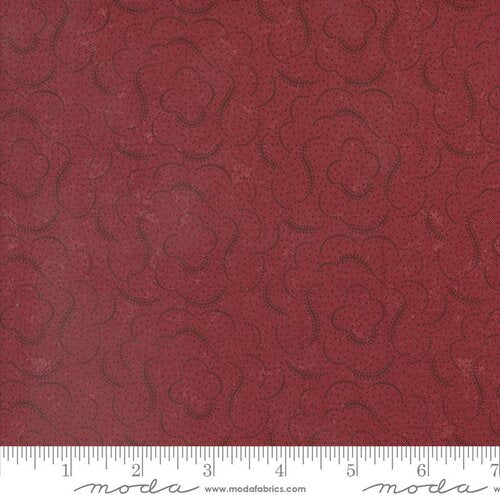 Daisy Lane Carnation | 9767 13