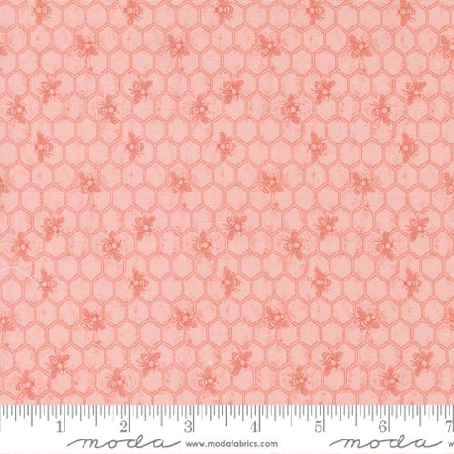 Wild Honey Carnation | 5253 12