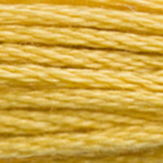 DMC-3821 Straw 6 Strand Floss