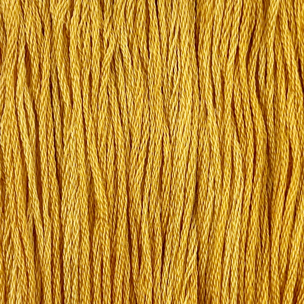 Bumblebee - Colour and Cotton 6 Strand Floss - CAC-043