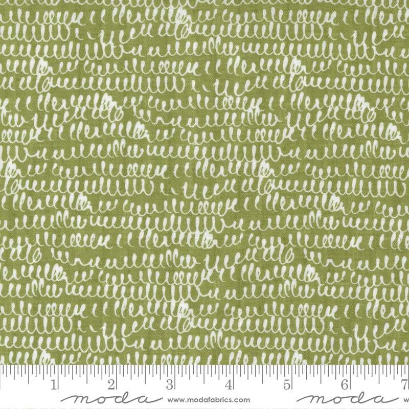 Snowkissed Pine | 55584 33