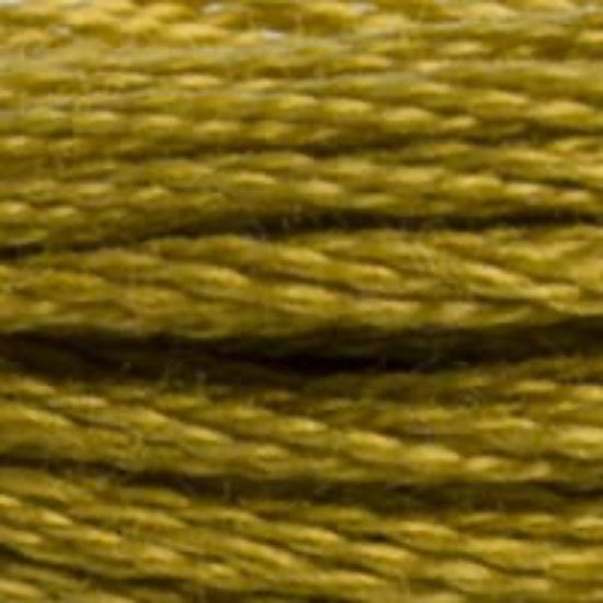 DMC-832 Golden Olive 6 Strand Floss
