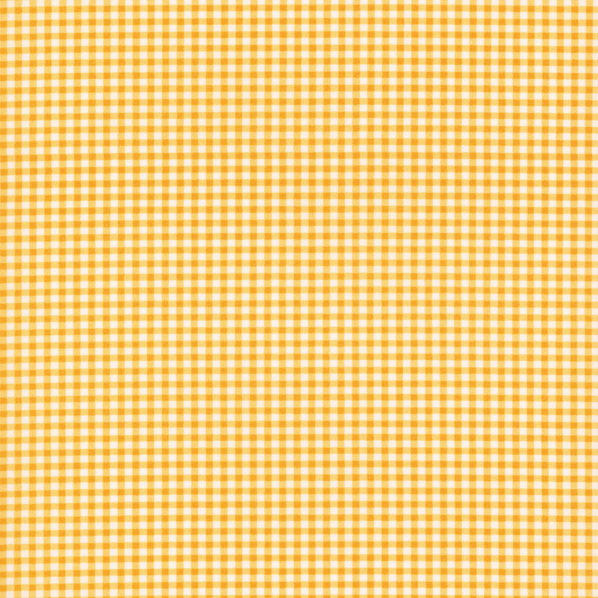 Shine Orangesicle | 55676 15