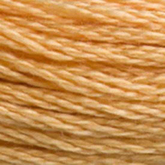 DMC-3827 Pale Golden Brown  6 Strand Floss