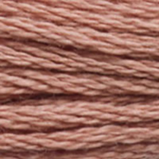 DMC-3859 Light Rosewood  6 Strand Floss