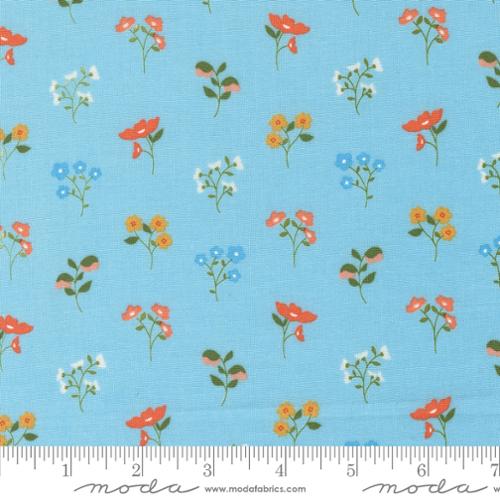 Dainty Meadow Sky | 31741 22