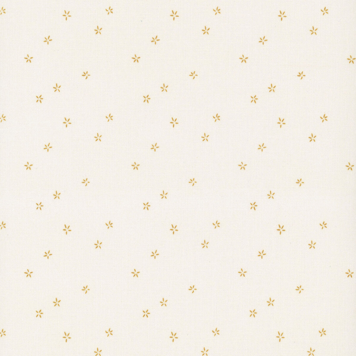 Hush Hush 5 | C16941 | Plumeria