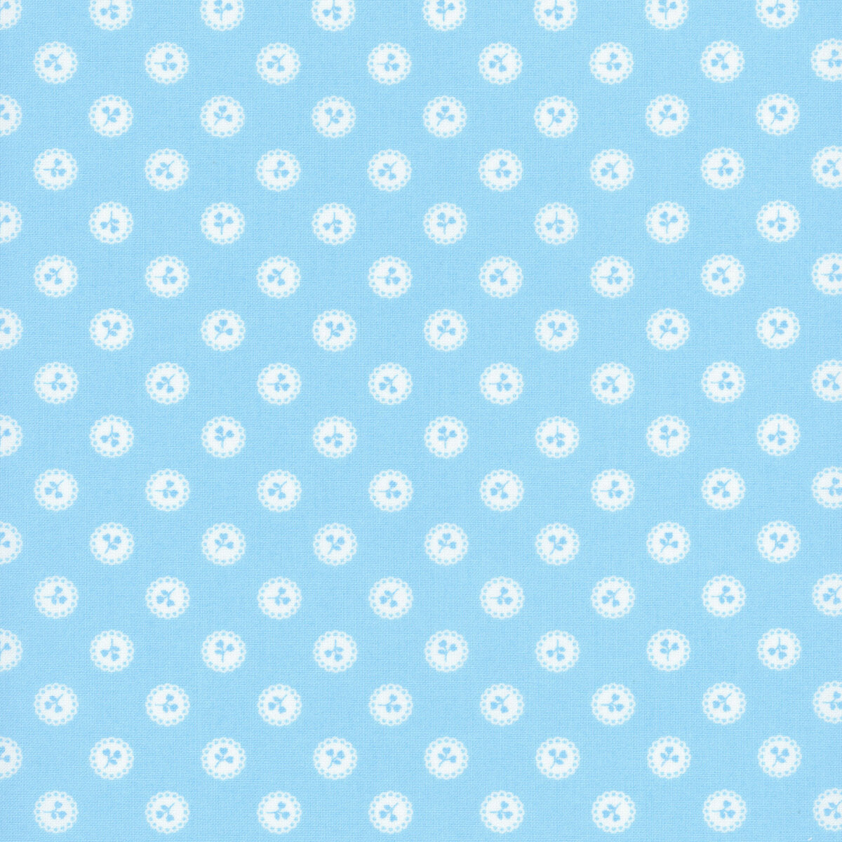 Dainty Meadow Bluebell | 31746 23