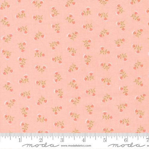 Sunbonnet Pink | 31763 15