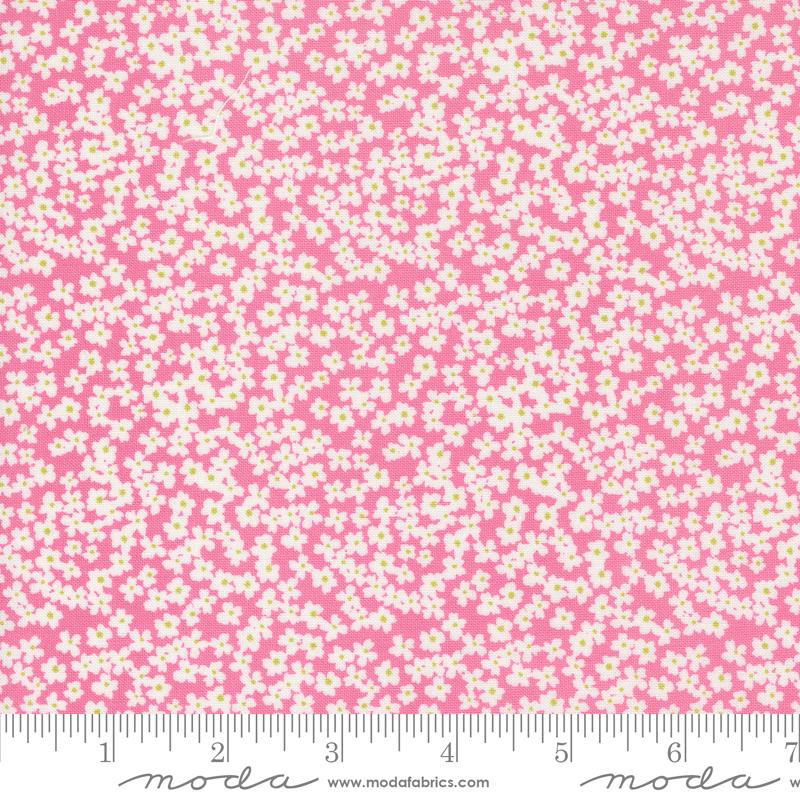 Shine Lollipop | 55672 13