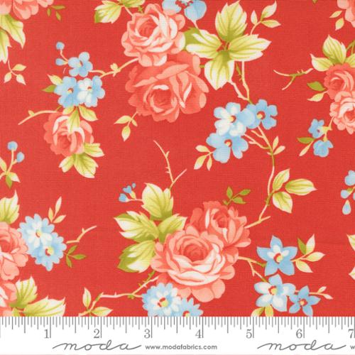 Rosie Strawberry | 35420 14