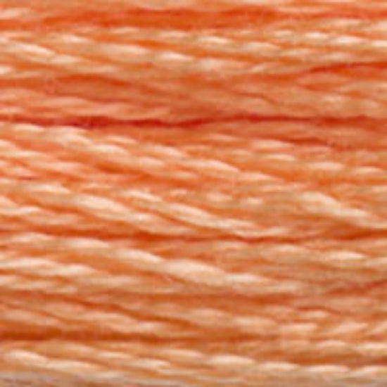 DMC-3825 Pale Pumpkin  6 Strand Floss