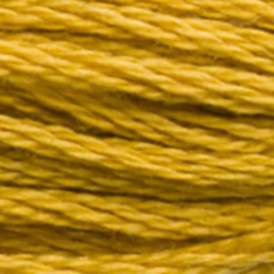 DMC-3852 Very Dark Straw  6 Strand Floss