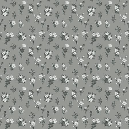 A Walk on the Prairie | C15232 | Sage Gray
