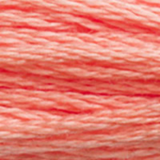 DMC-3341 Apricot 6 Strand Floss