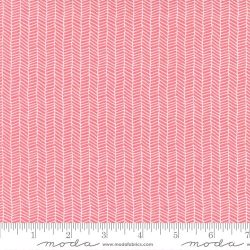 Love Note Tea Rose | 5154 15