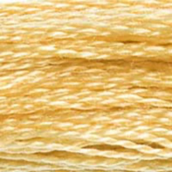 DMC-676 Light Old Gold  6 Strand Floss