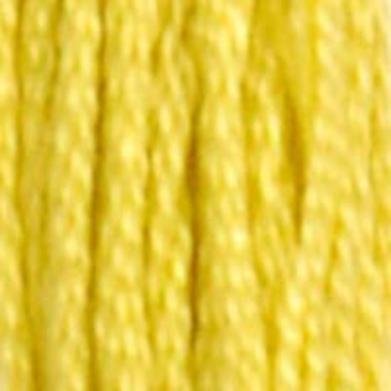 DMC-18 Yellow Plum 6 Strand Floss