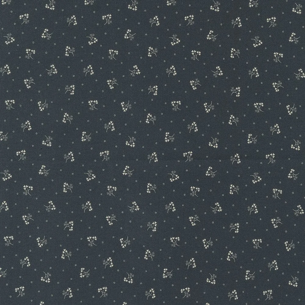 Goodnight Irene Graphite | 31704 24