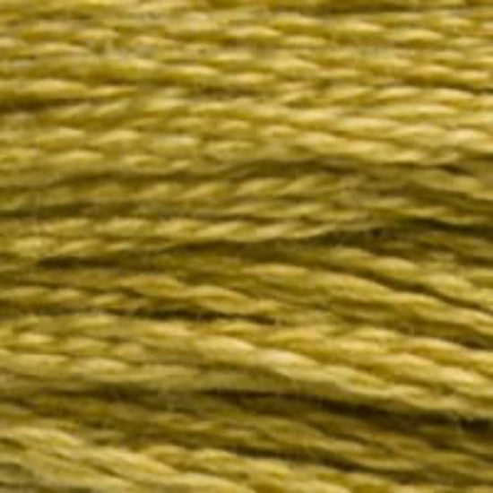 DMC-833 Light Golden Olive  6 Strand Floss