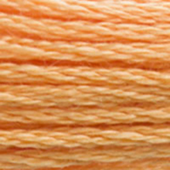 DMC-3854 Medium Autumn Gold 6 Strand Floss